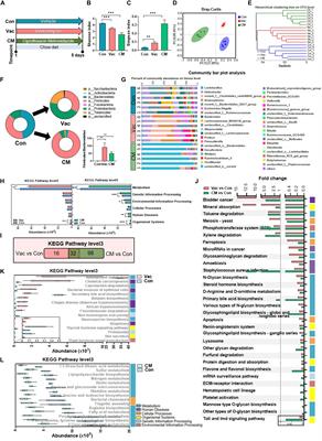 Integrated Metagenomic and Transcriptomic Analyses Reveal the Dietary Dependent Recovery of Host Metabolism From Antibiotic Exposure